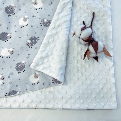 Flannel blanket + minky 
