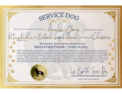 Basic Package for One Dog