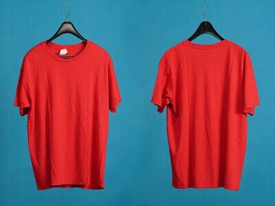 PLAIN T-SHIRTS