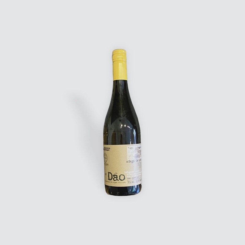 Dao Adiga de Penalua Indigena Blend Vinho Bronco &#39;19 (750ml)