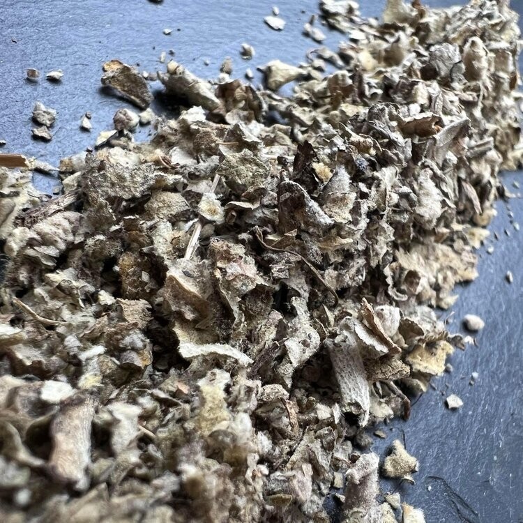 Mullein