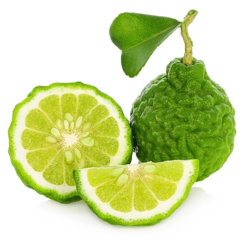 Bergamont