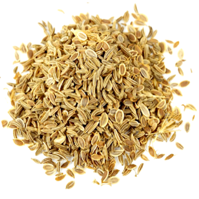 Carrot Seed