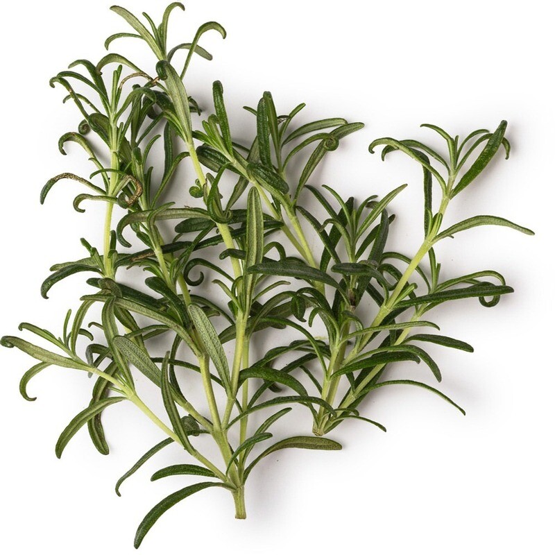 Rosemary