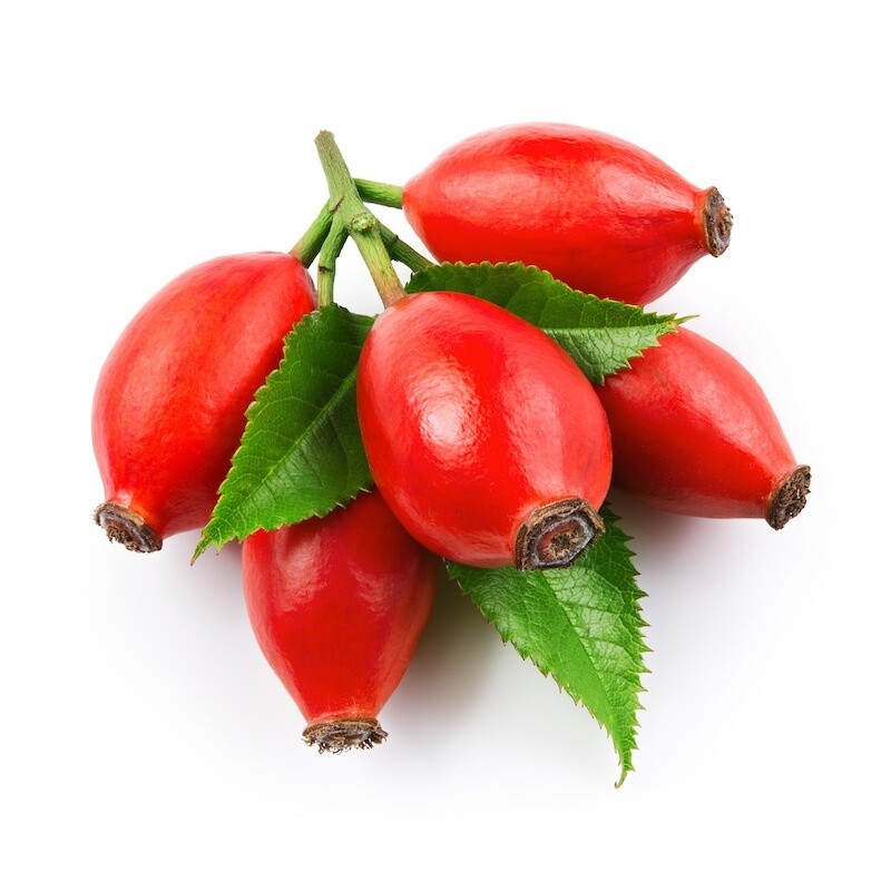 Rose Hip