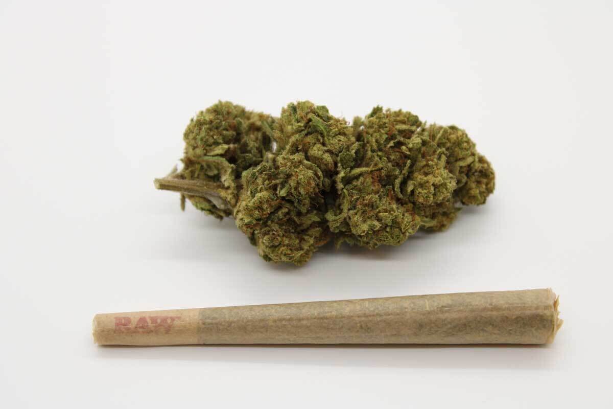 Skywalker Pre Roll 1pcs