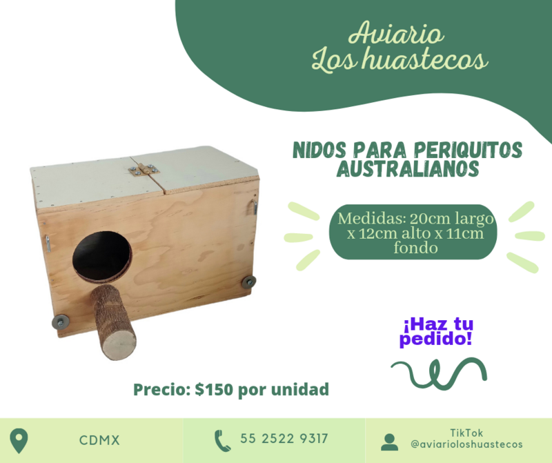 Nido de caja para periquito australiano