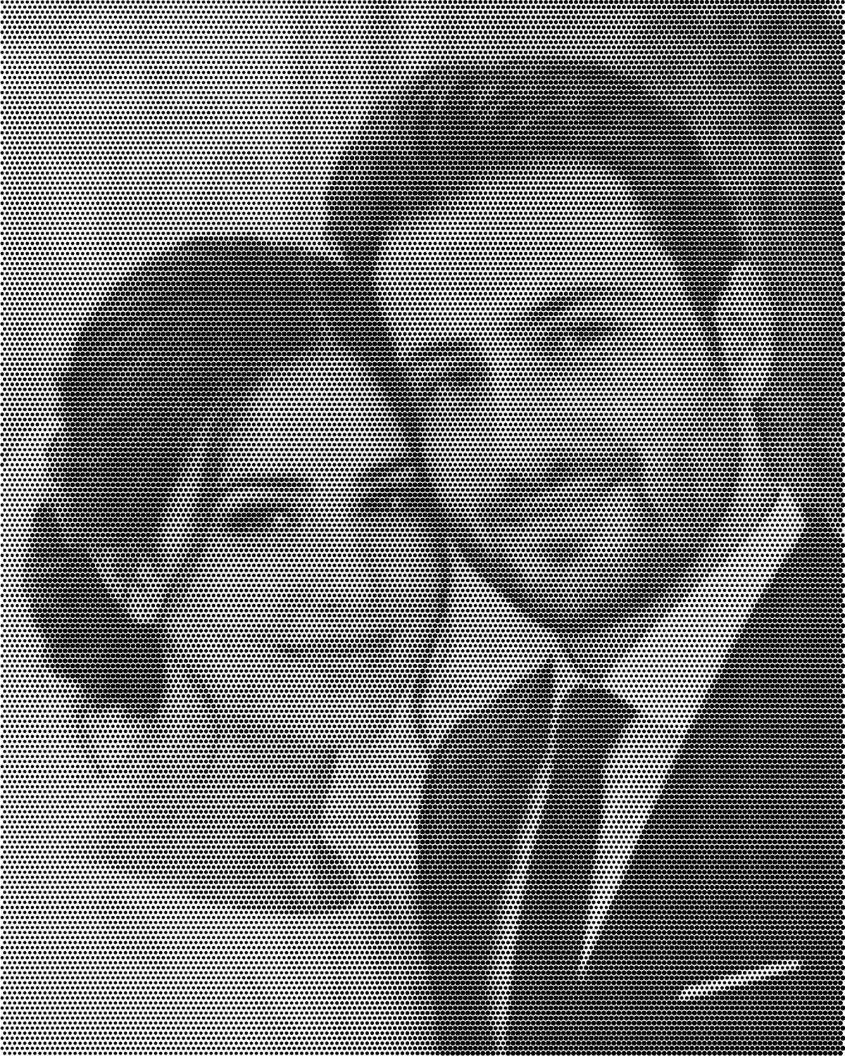 Finished FaceLyne Studio Edition dot portrait of a wedding couple