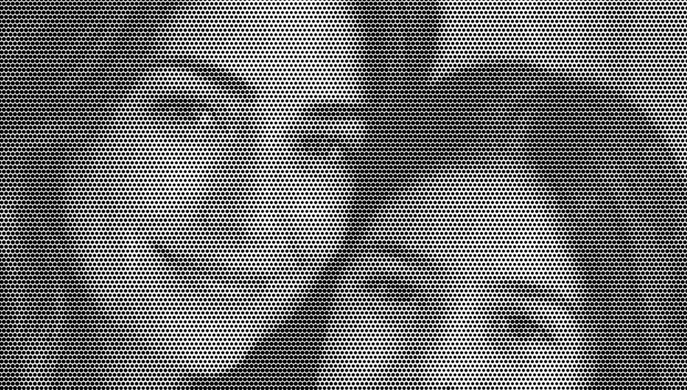 Studio Edition personalized Dot Portrait completed by FaceLyne