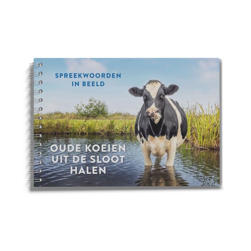 Oude koeien uit de sloot halen