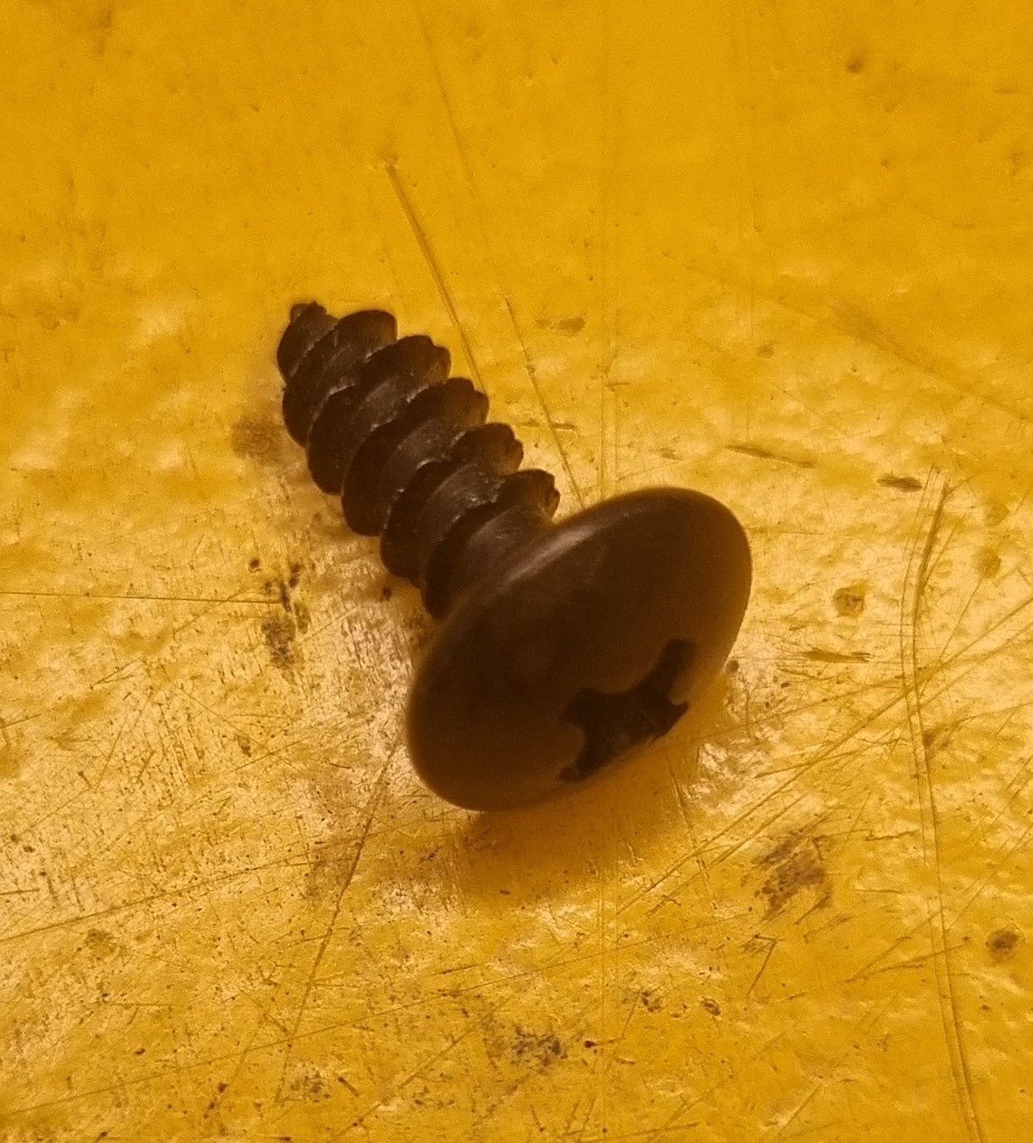 SCREW 10GX1/2 MUSHROOM POZI BLACK