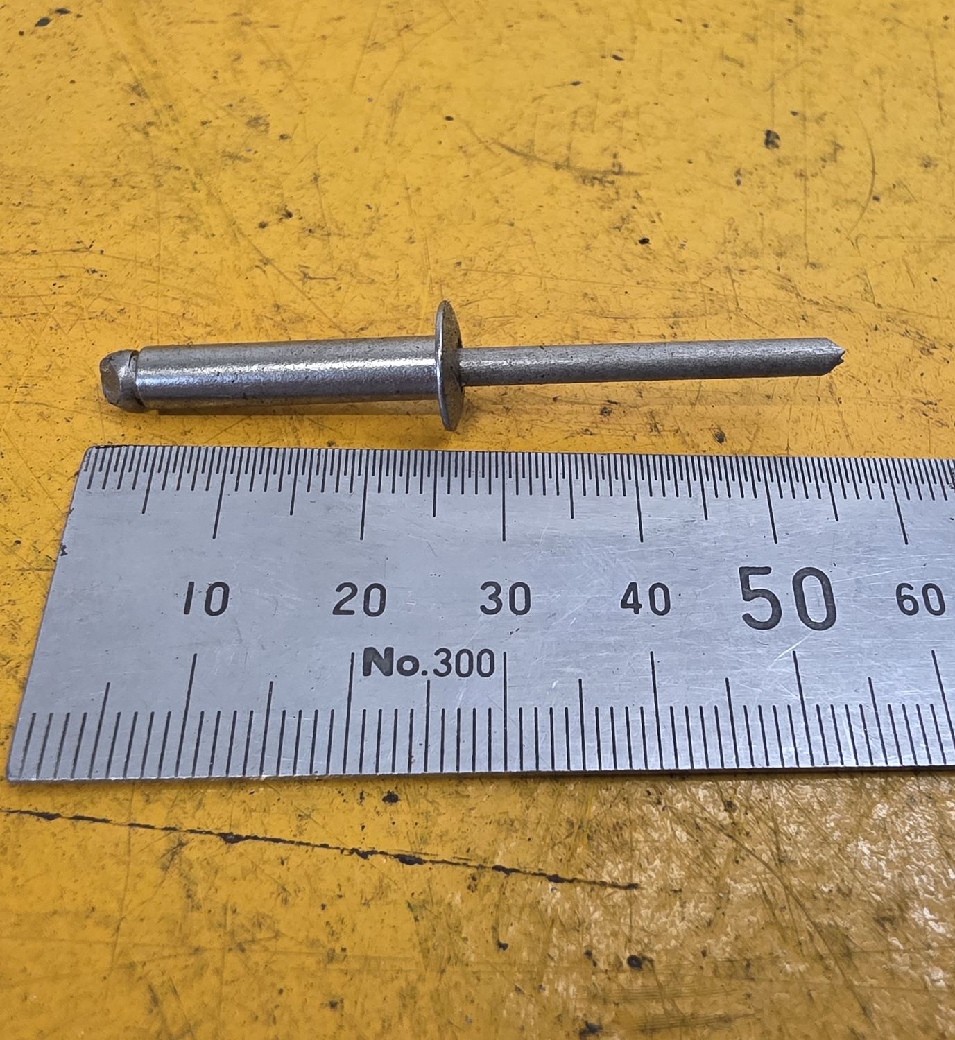 RIVETS 6-10 SS304