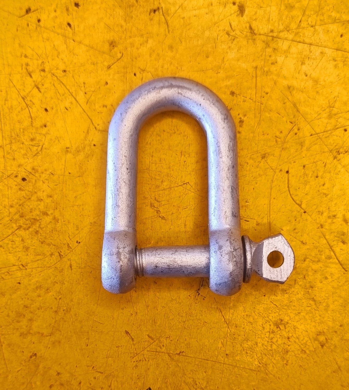 SHACKLE D 12MM GALV