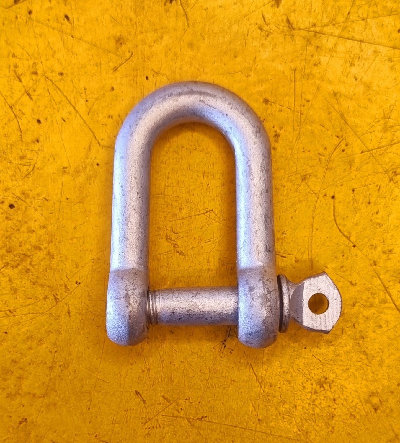 SHACKLE D 6MM GALV
