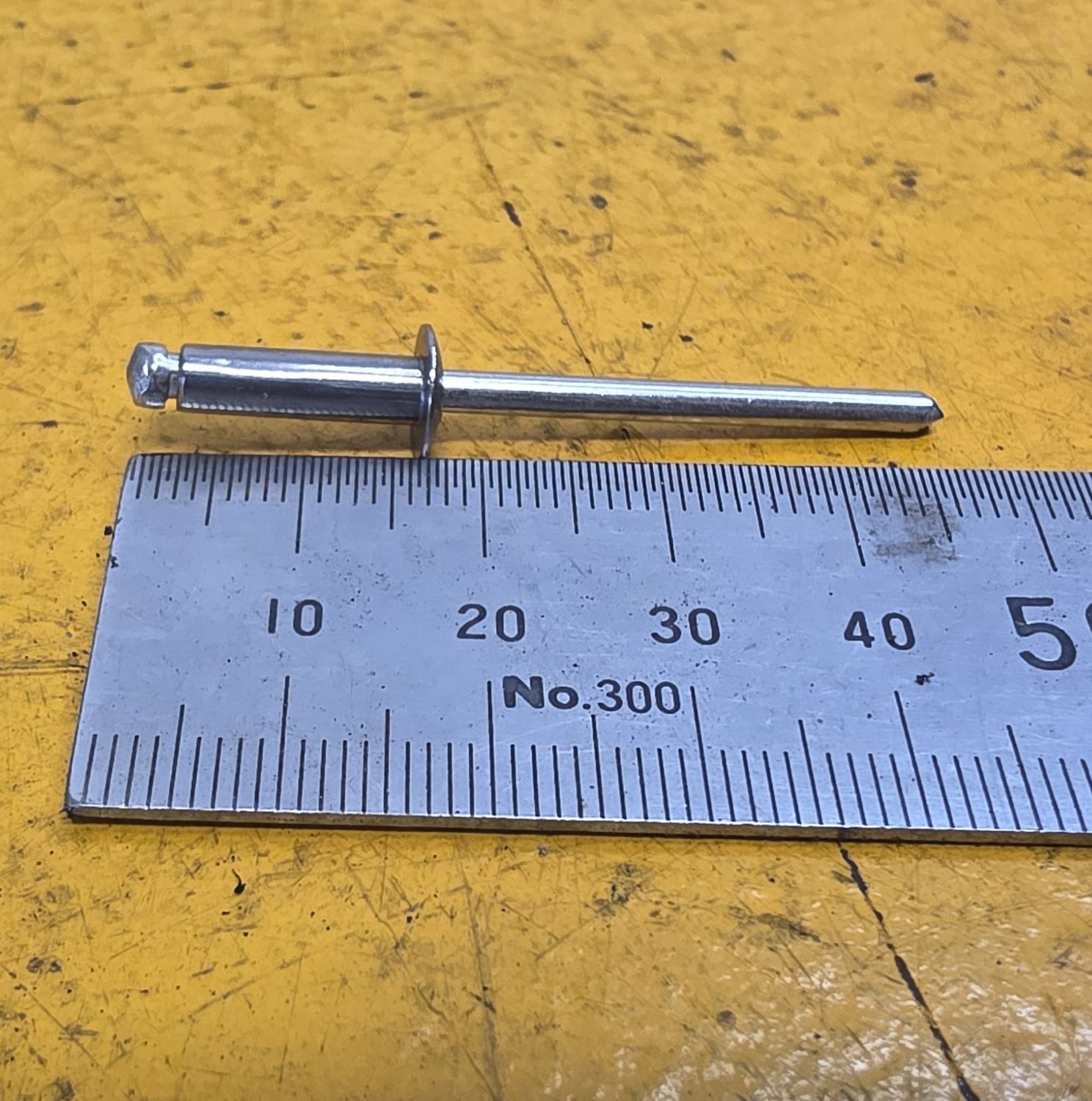 RIVET 5-6 SS316