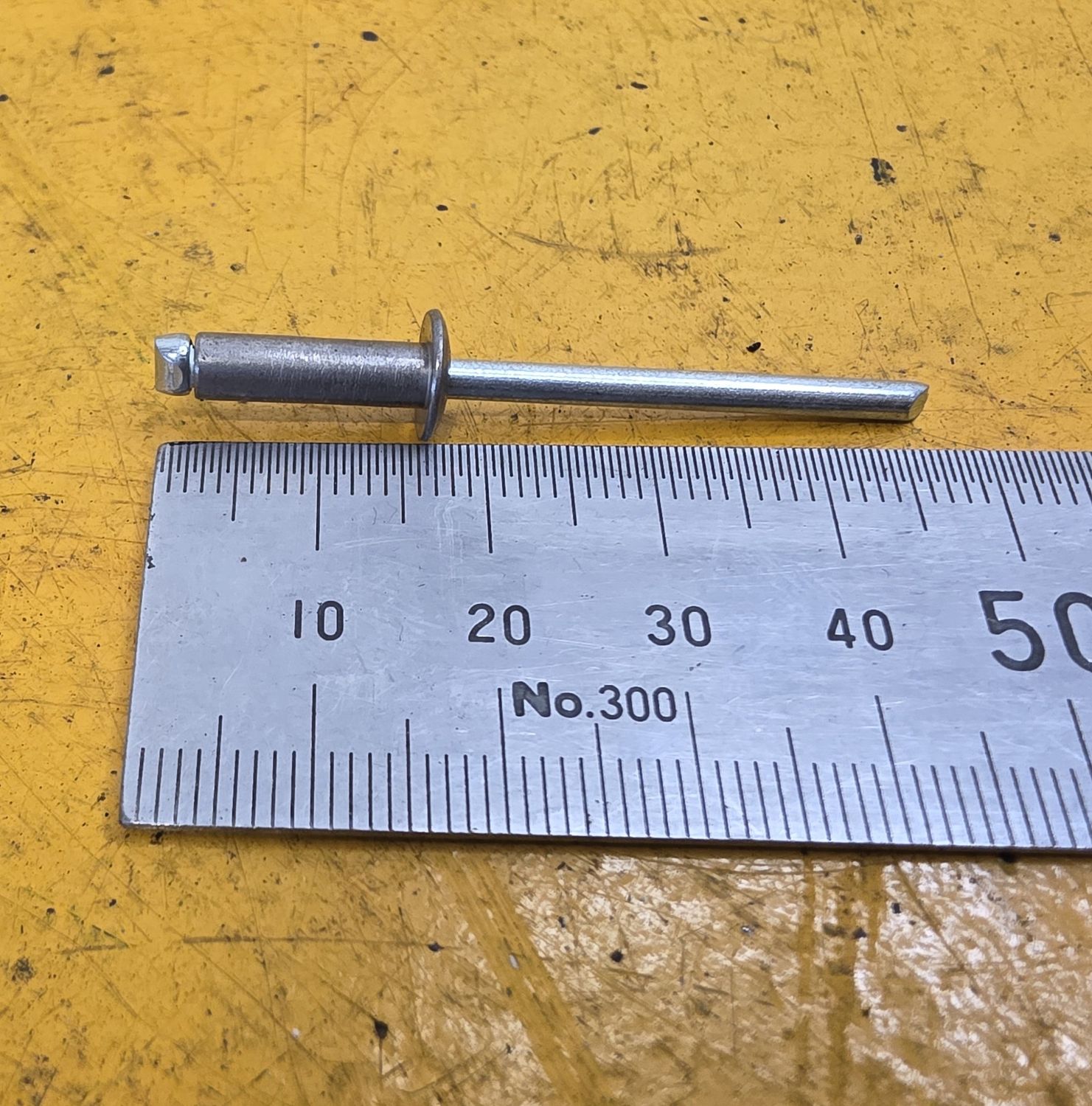 RIVET MONEL 5-6
