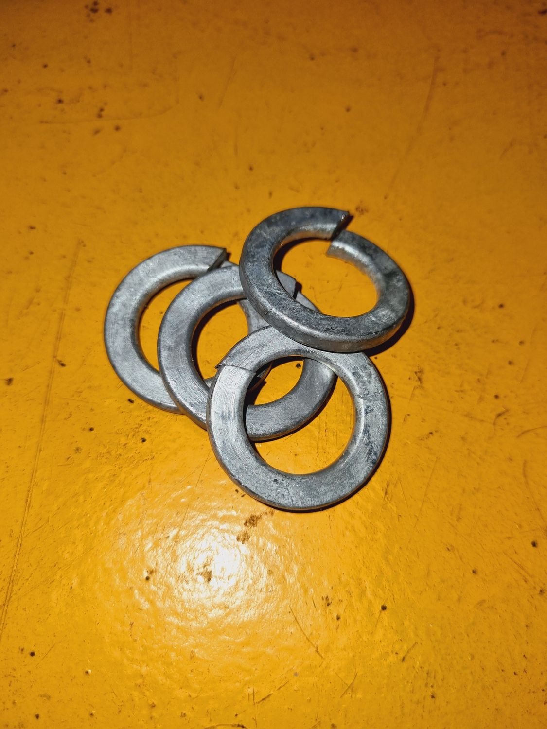 WASHER M20 SPRING GALV