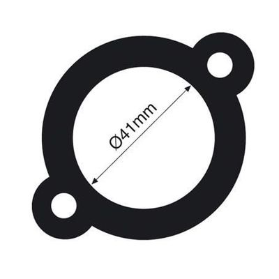 THERMOSTAT GASKET TTG3 (TRIDON)