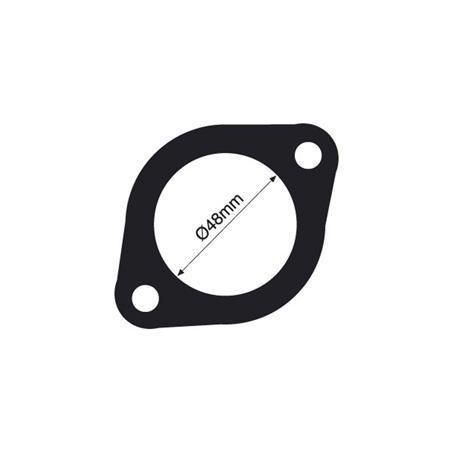 THERMOSTAT GASKET TTG4 (TRIDON)