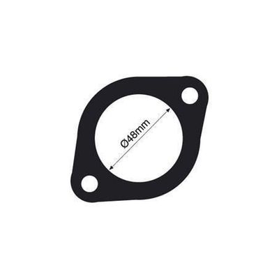 THERMOSTAT GASKET TTG4 (TRIDON)
