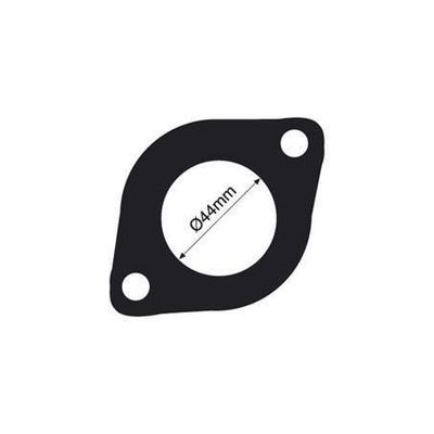 THERMOSTAT GASKET TTG5 (TRIDON)