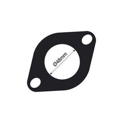 THERMOSTAT GASKET TTG13 (TRIDON)