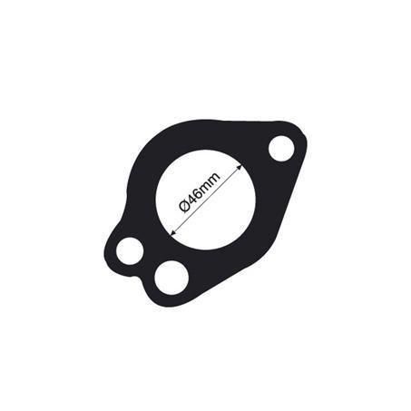 THERMOSTAT GASKET TTG24 (TRIDON)