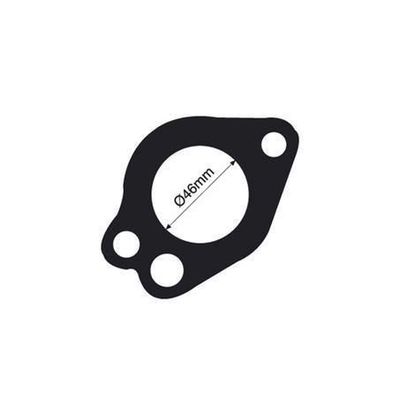 THERMOSTAT GASKET TTG24 (TRIDON)