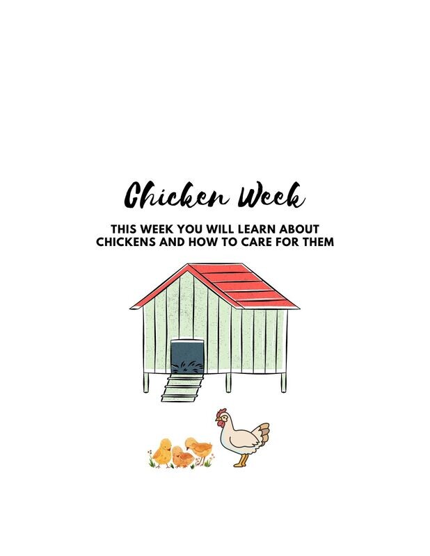 Chicken Care Lesson Plan