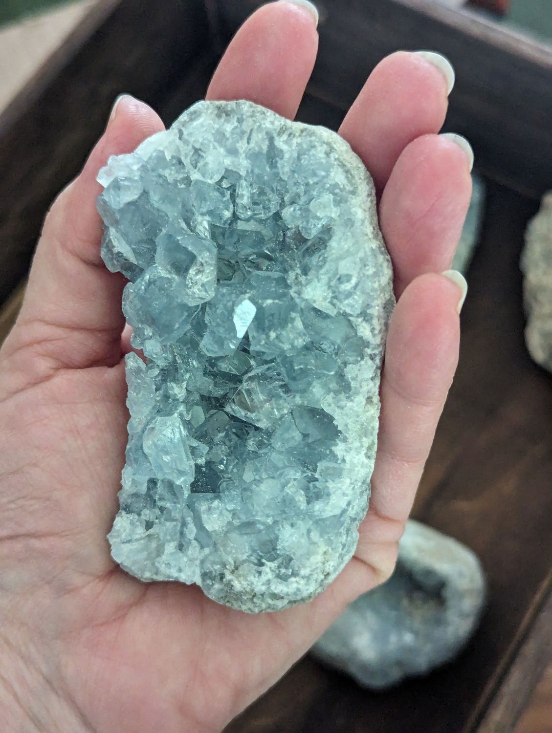 HG Celestite Clusters from Brazil