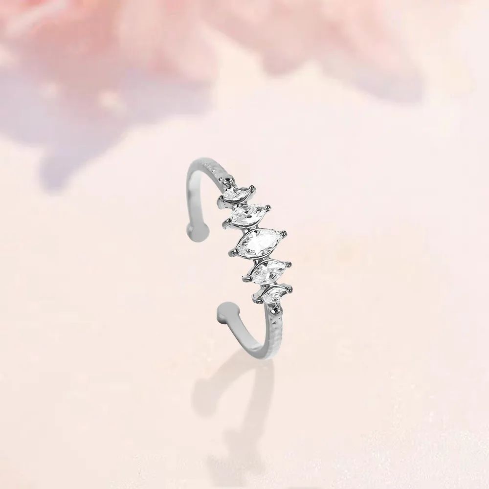 Fancy silver ring