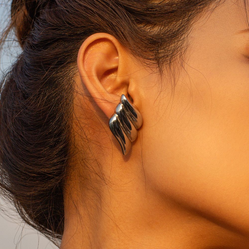 Wings silver earrings