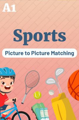 Picture to Picture Matching Game: Sports