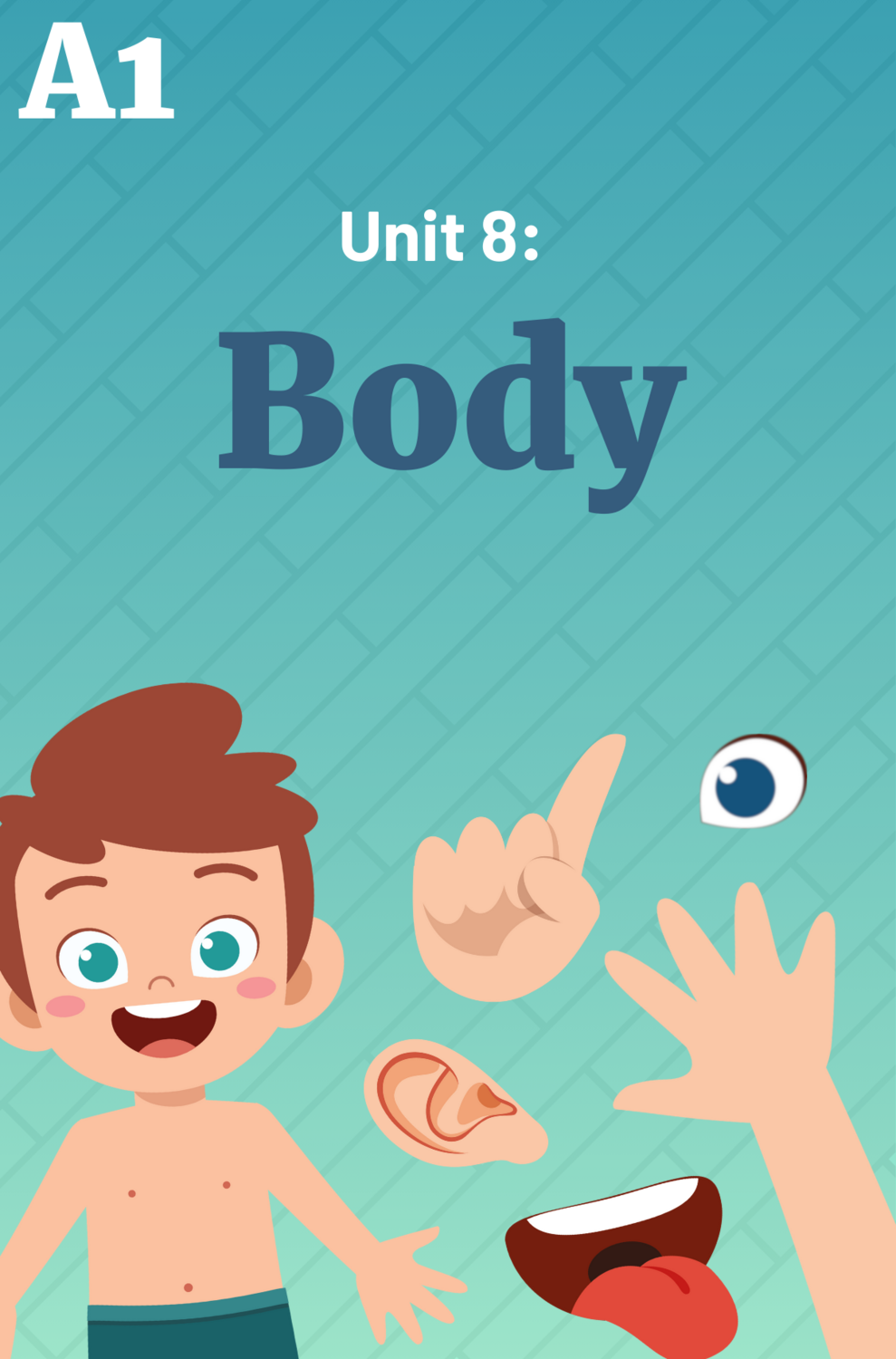 Unit 8: Body Complete
