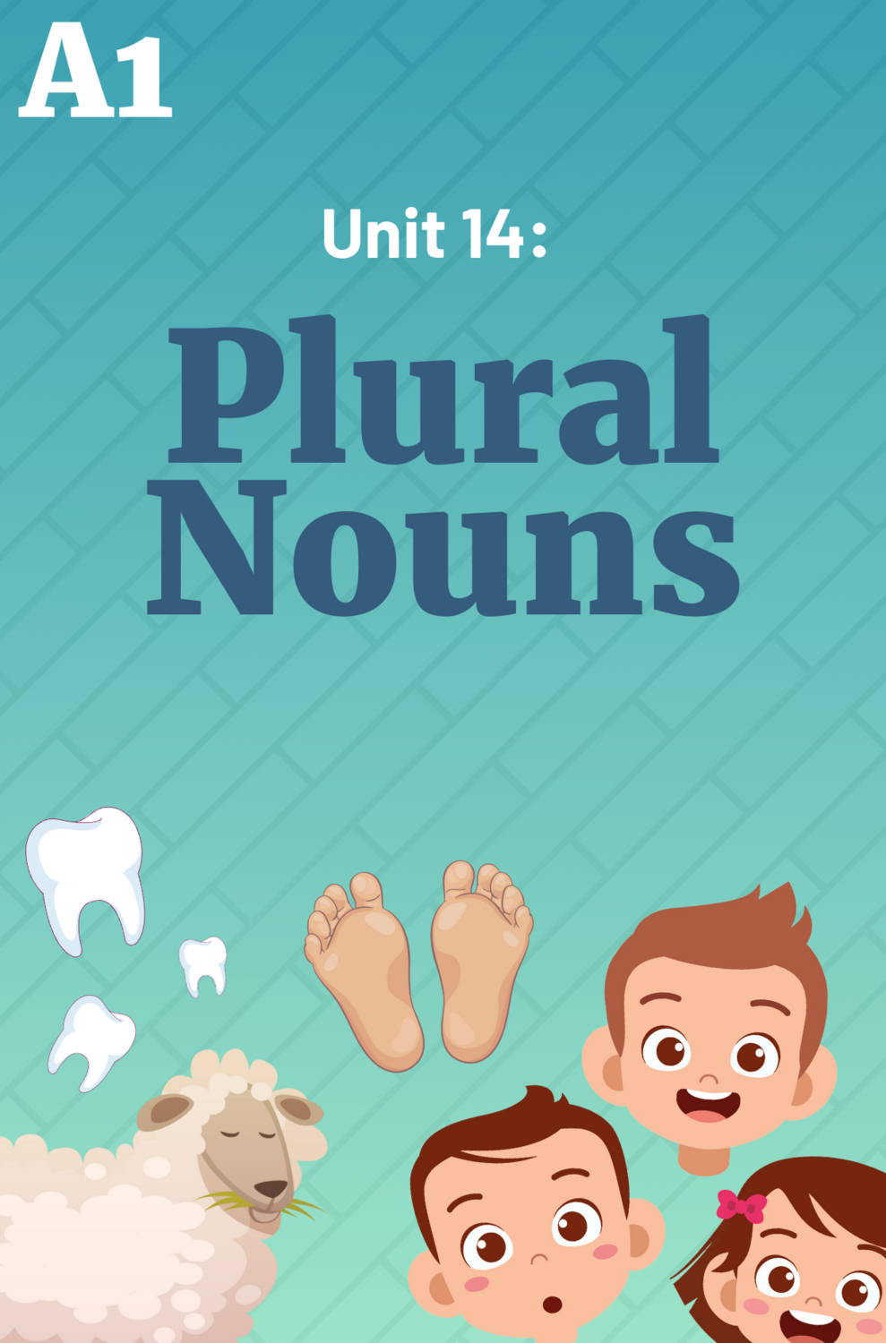 Unit 14: Plural Nouns Complete