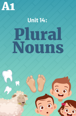 Unit 14: Plural Nouns Complete