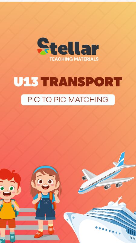 Picture to Picture Matching Game: Transport