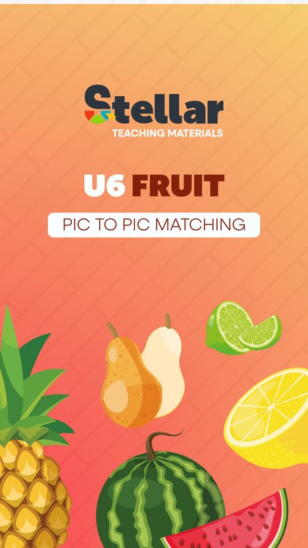 Picture to Picture Matching Game: Fruit