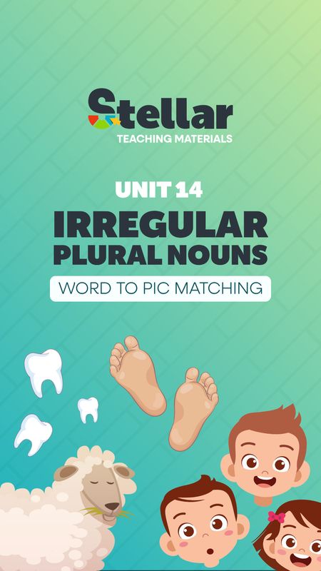 Word to Picture Matching Game: Plural Nouns