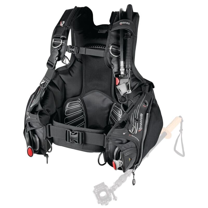 BCD Quantum