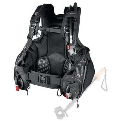 BCD Quantum