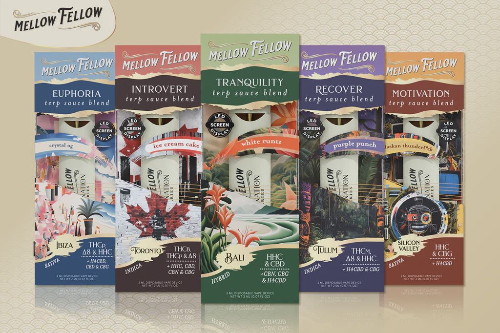 MELLOW FELLOW LIVE RESIN BLEND 1G DISPO