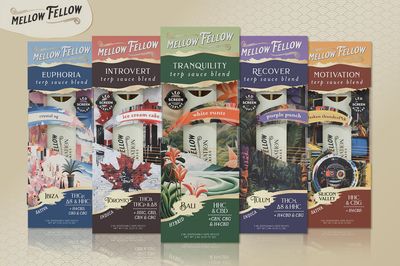 MELLOW FELLOW LIVE RESIN BLEND 1G DISPO