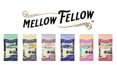 Mellow Fellow Destination 5g Disposable