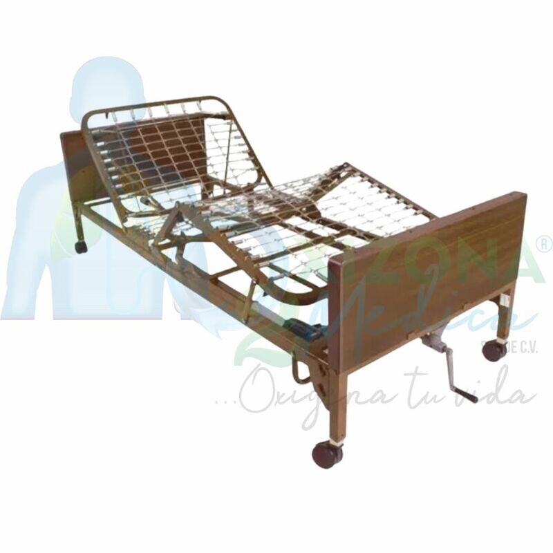 Cama Eléctrica serie 3000 color cafe