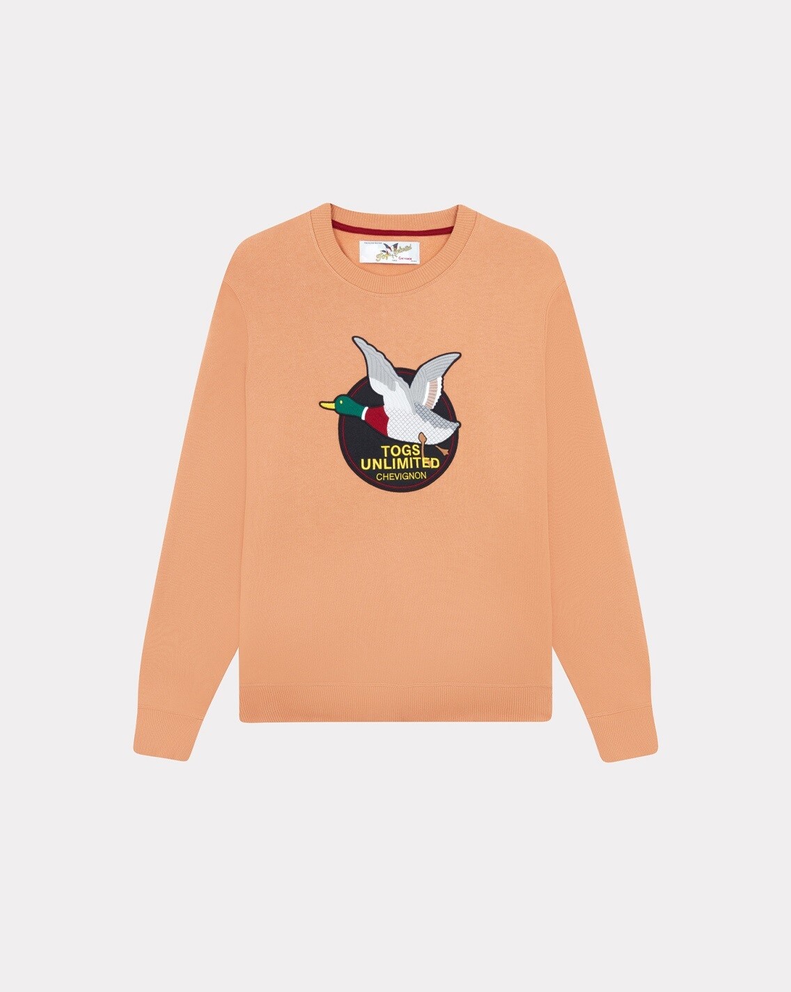 SWEATSHIRT TOGS 2