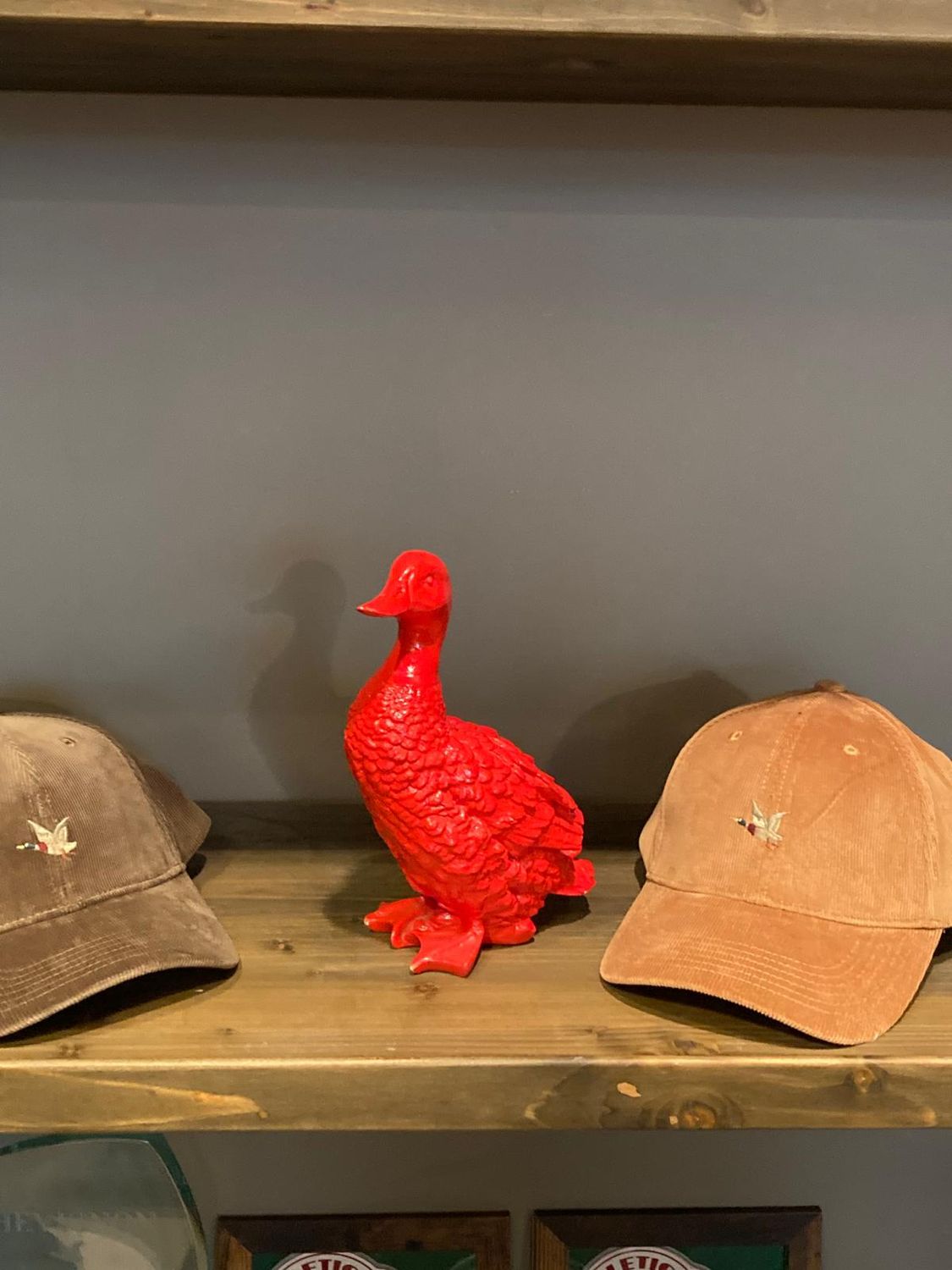 DISPLAY TOGS UNLIMITED