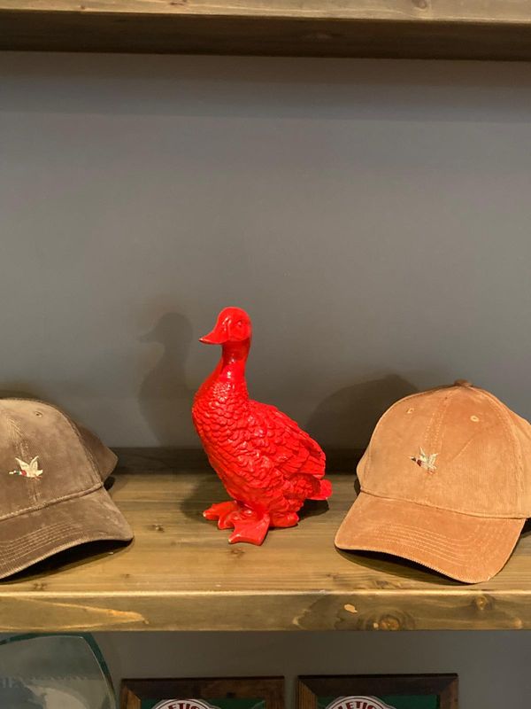 DISPLAY TOGS UNLIMITED