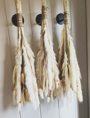 Pampas Grass