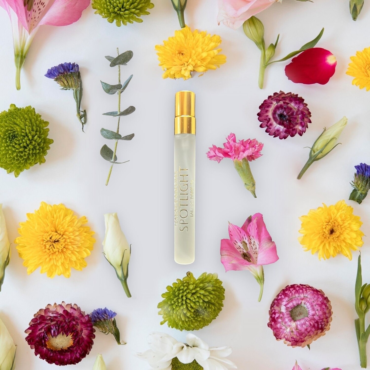 Hayat Parfums: Spotlight Inspired By Fame